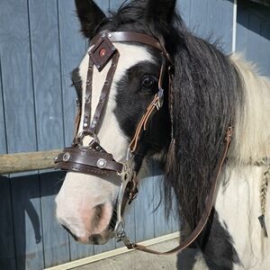 Brown Leather Horse Bridle